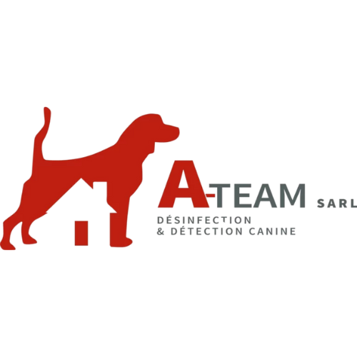 A-Team Désinfection