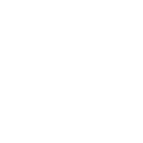 Soluss