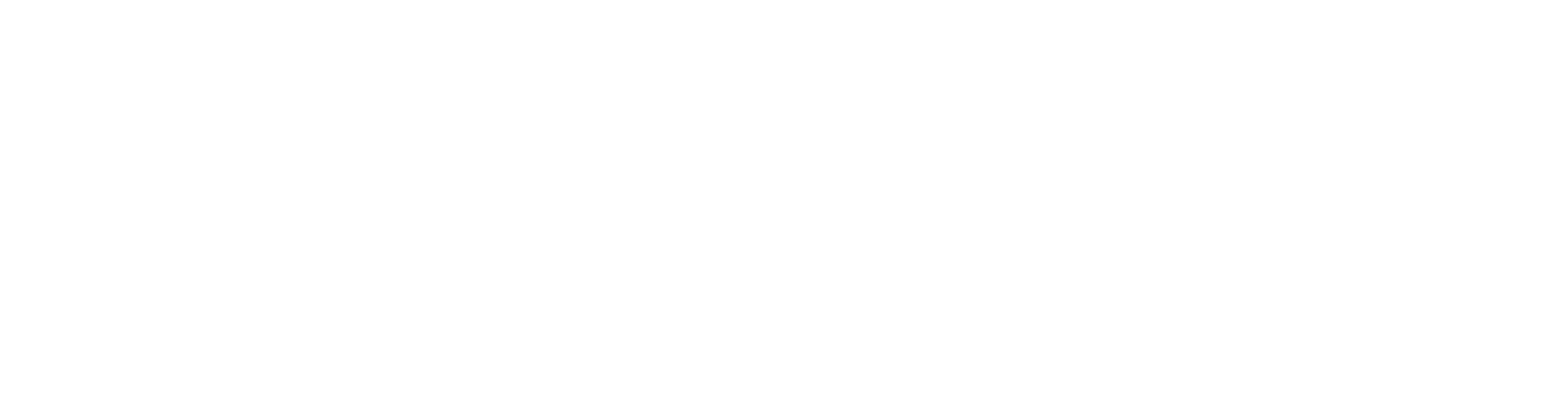 Nova Gestion